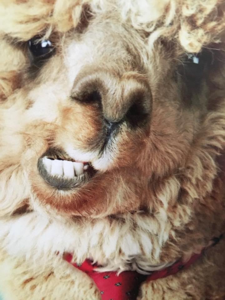 Yup - early morning selfie.