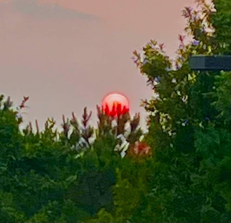 I wish I had a better camera (but not enough to by a Samsung 🤣) but the setting sun was “like a red rubber ball” (60s song reference😉) and it looked like it was setting on top of our trees. Beautiful, and God is Awesome w
