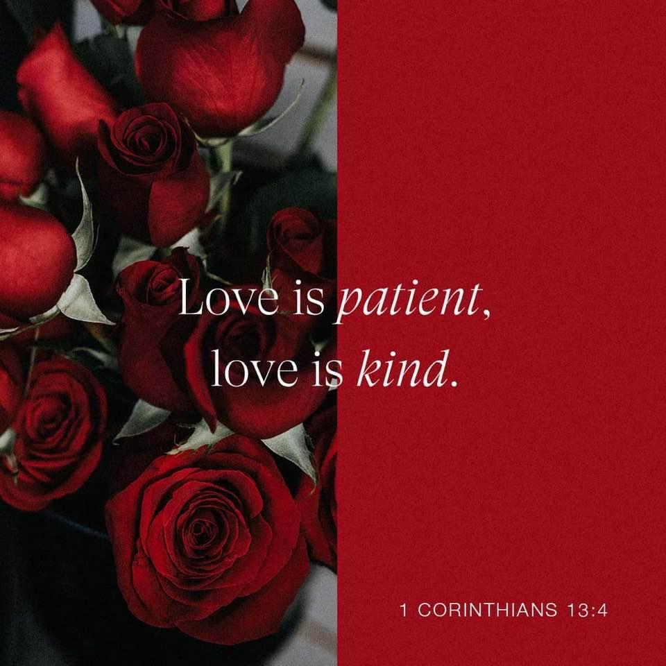 Kathy Gibson's album, Timeline photos