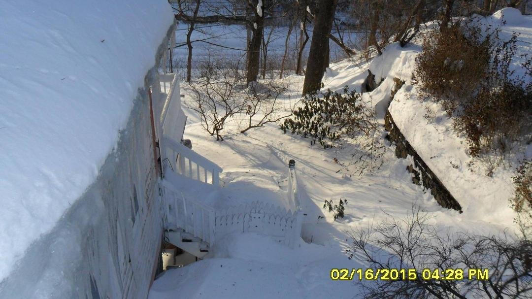 My backyard