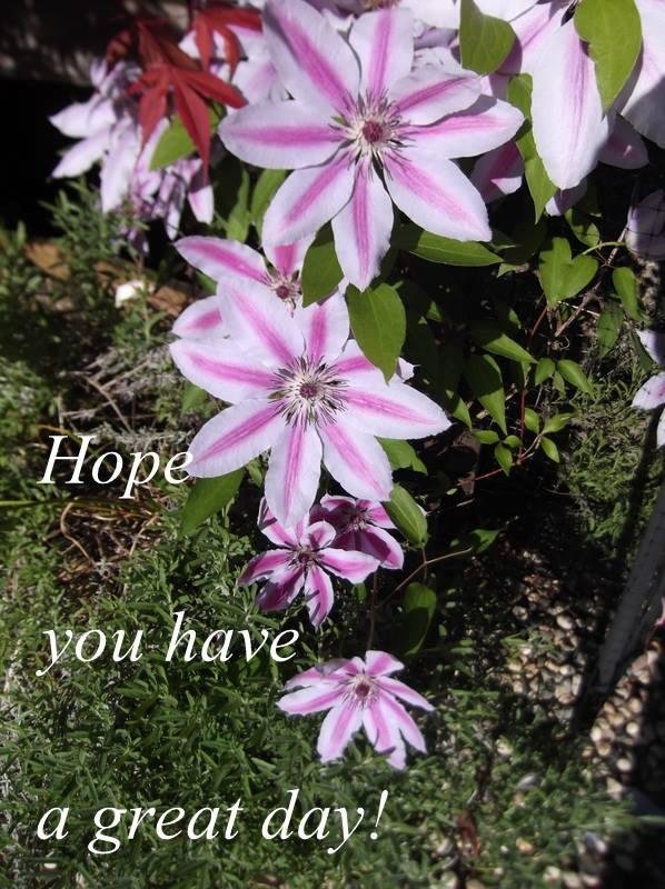 Rita Ross' album, Timeline Photos