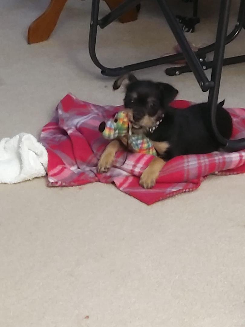 Sally is starting to be calm.