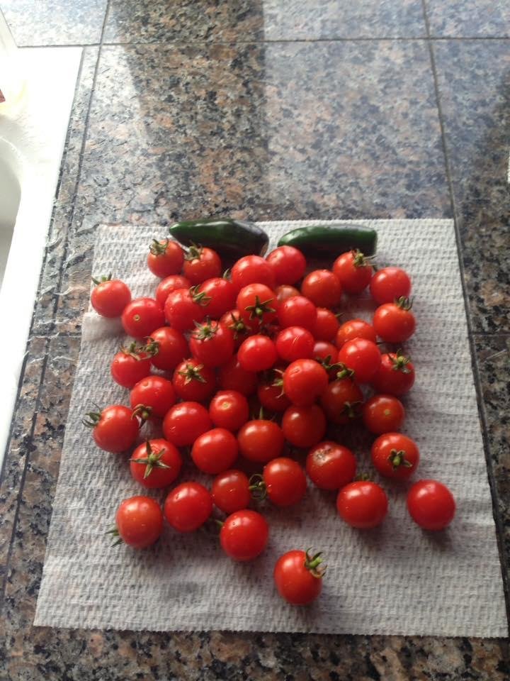 Garden is producing. Yummy