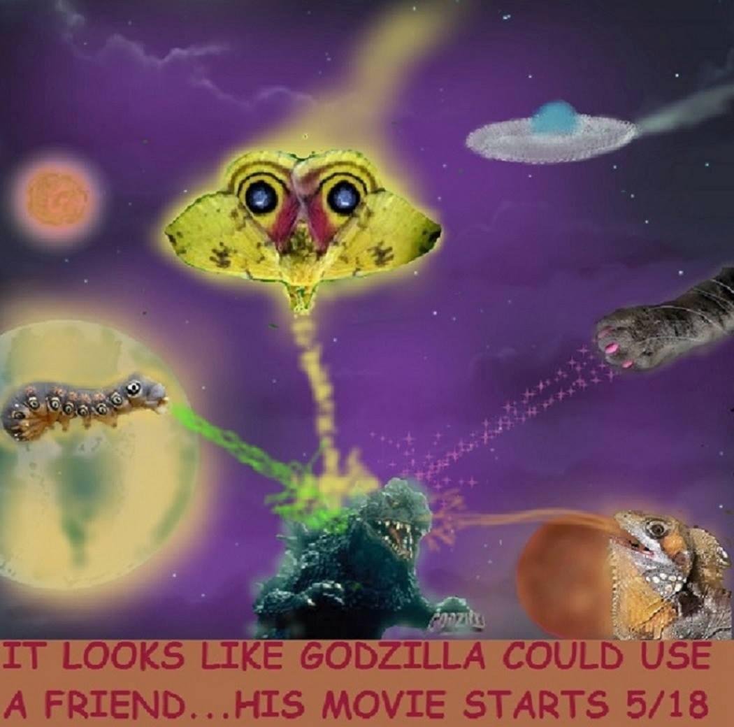 I was bored.  The weather's fault.