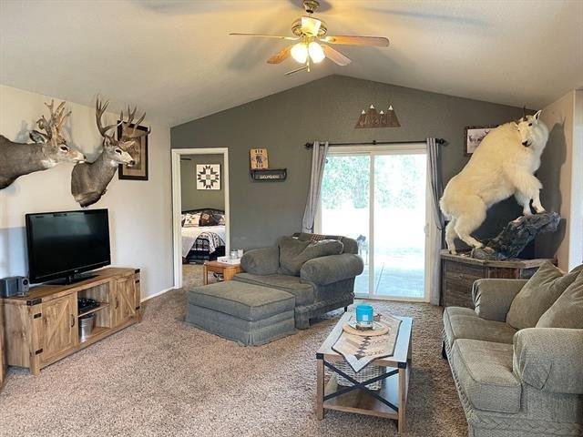 Every Man's Living Room should look like this!! Only missing is the 8 ft, Tall Bear!!