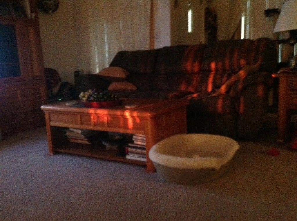 The red sun shining on my furniture Awesome