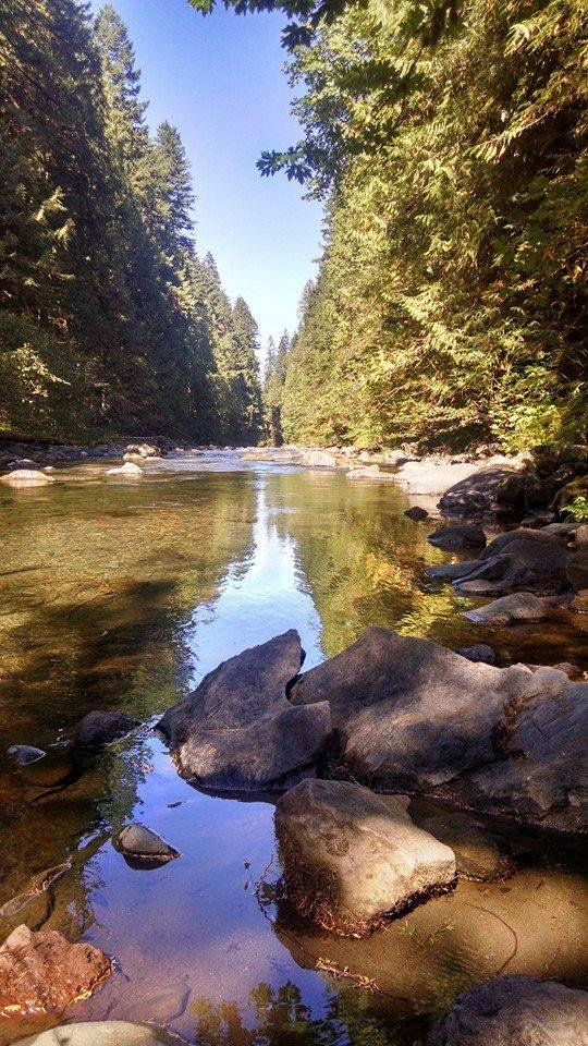 Blue sky on Salmon river, Oregon.