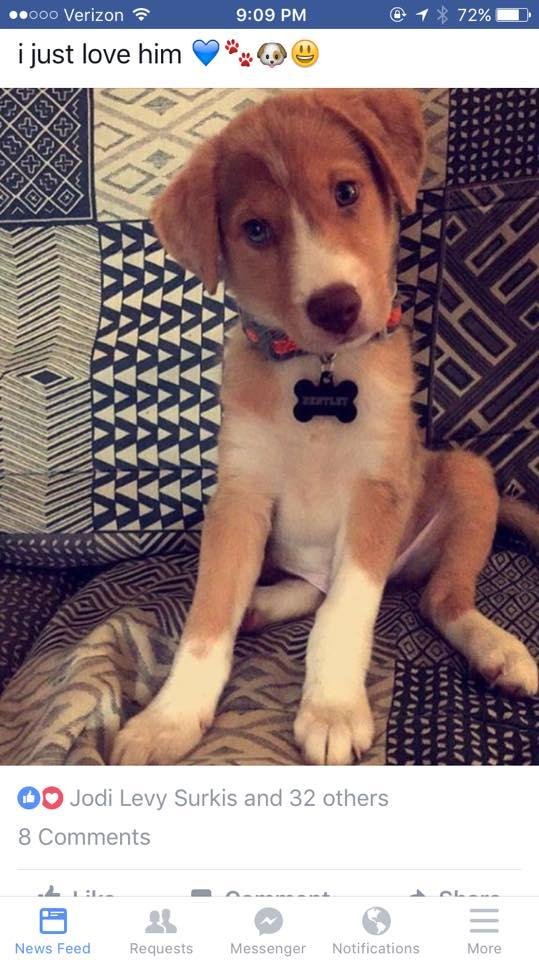 Finally a son