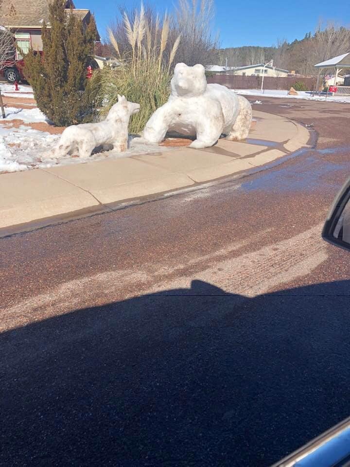 Our neighbor built a big snow bear and a snow coyote really talented