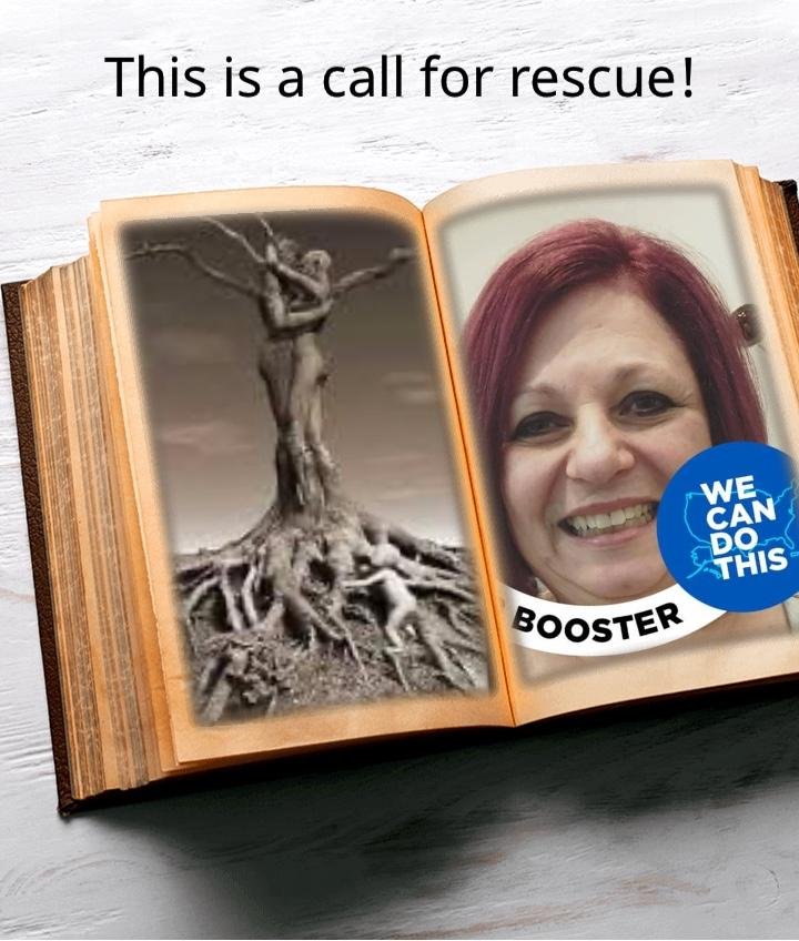 Gail Barton's album, Timeline photos