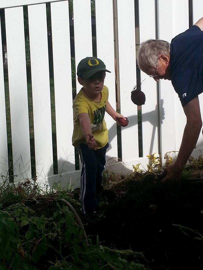 Action shot!  Digging potatoes with Lane.