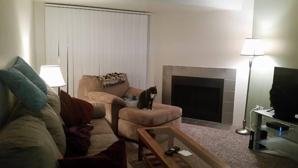 YAY!! The elevator is working again at my apartment. No more 3 flights of stairs and my living room looks great with new lamp shades.