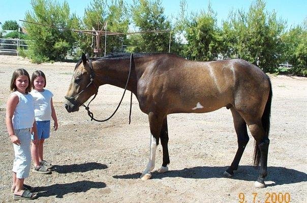 Beverly Carder's album, My Pics