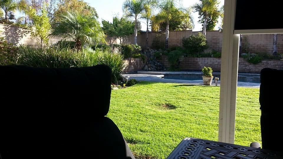 I really enjoy sitting in my back yard early mornings on the weekend. A little sad that my wife and I decided to sell our house after nearly 32 years there.
We're probably going to stay locally and downsize a bit, possibly