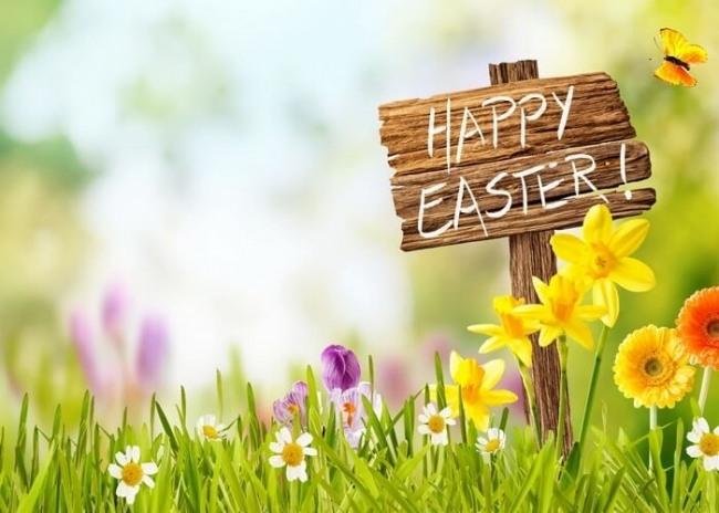 As Passover continues for us, we wish those who celebrate Easter a blessed day!