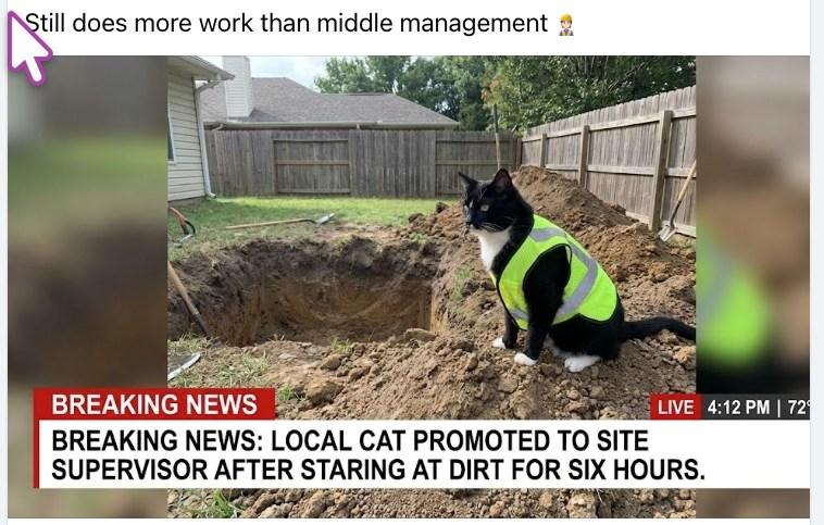 I've dealt with this with a few supervisors and many executives when I lowered myself to take W-2 jobs. I said what I said.