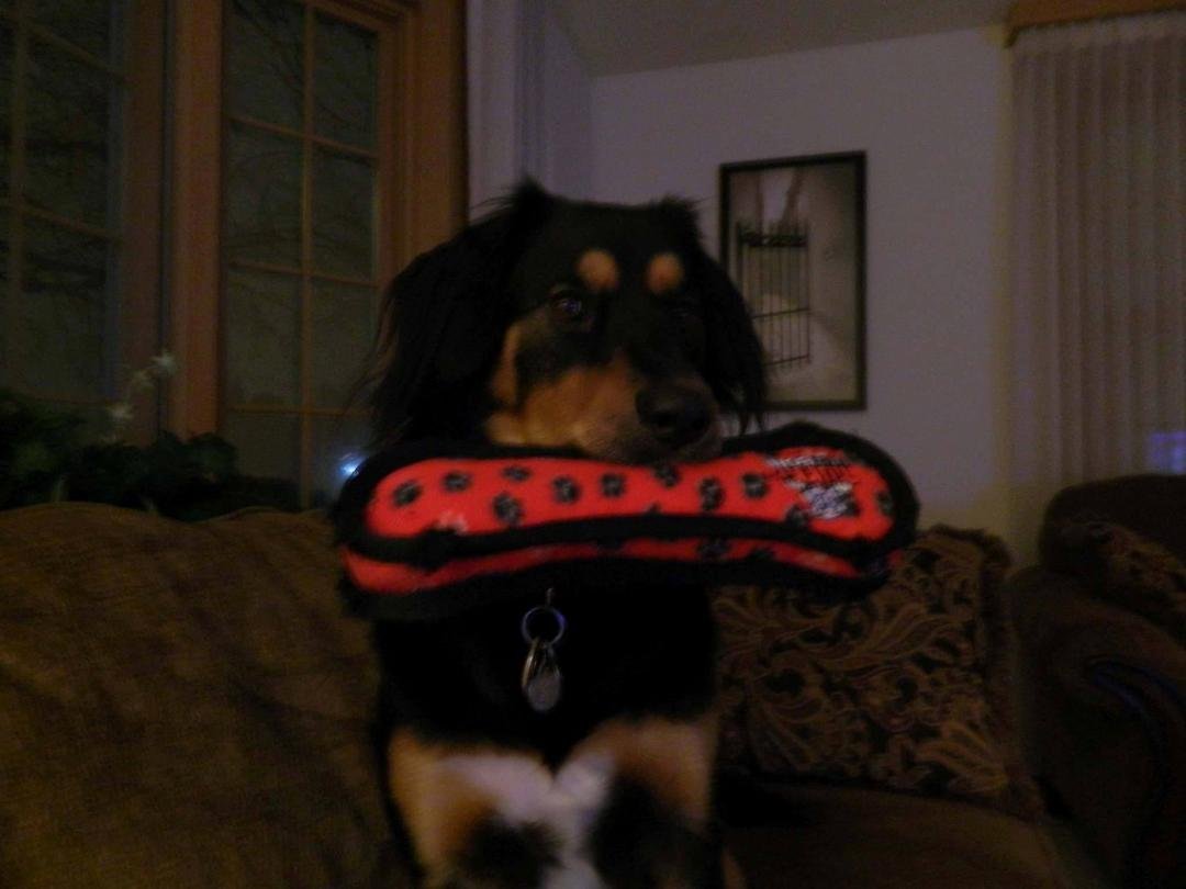 And of corse Cassy looking cute