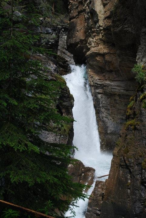 Steven Thomas' album, Canada 2010
