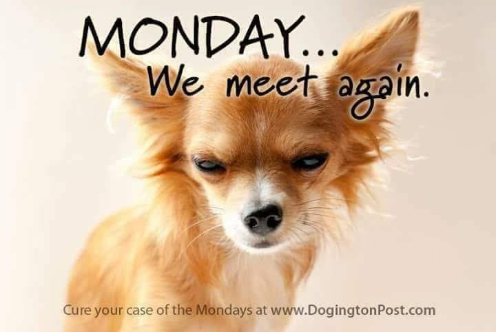 Robert Ramos' album, Timeline photos