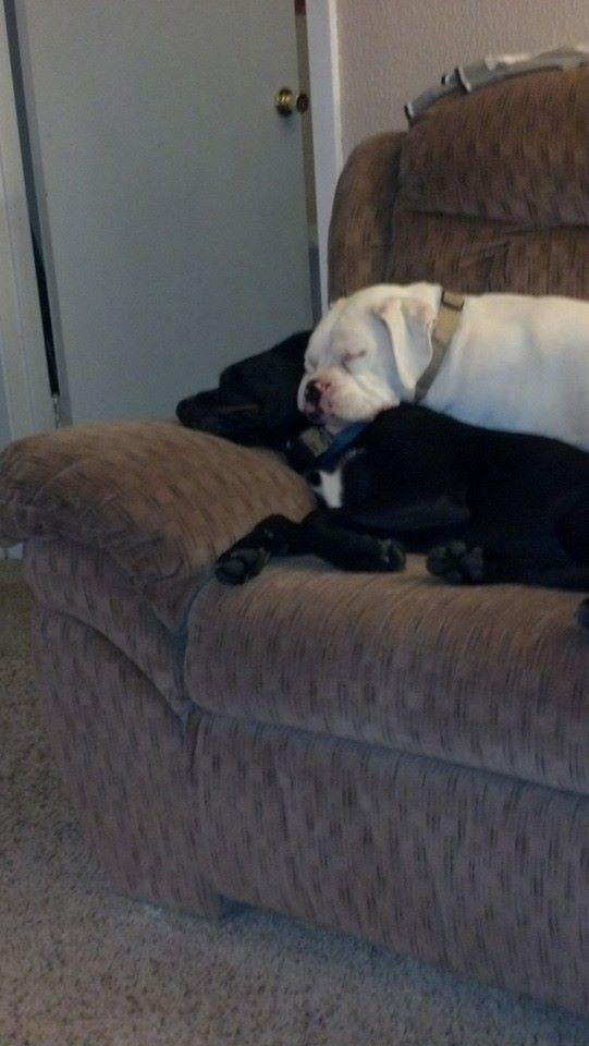 Wish they did not hate each other