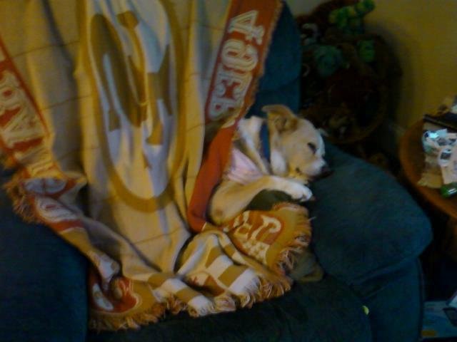 Dan Kizer's album, Mobile Uploads