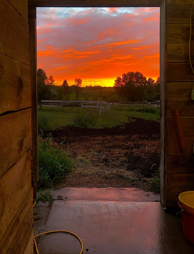 The stablehand's view after a long day