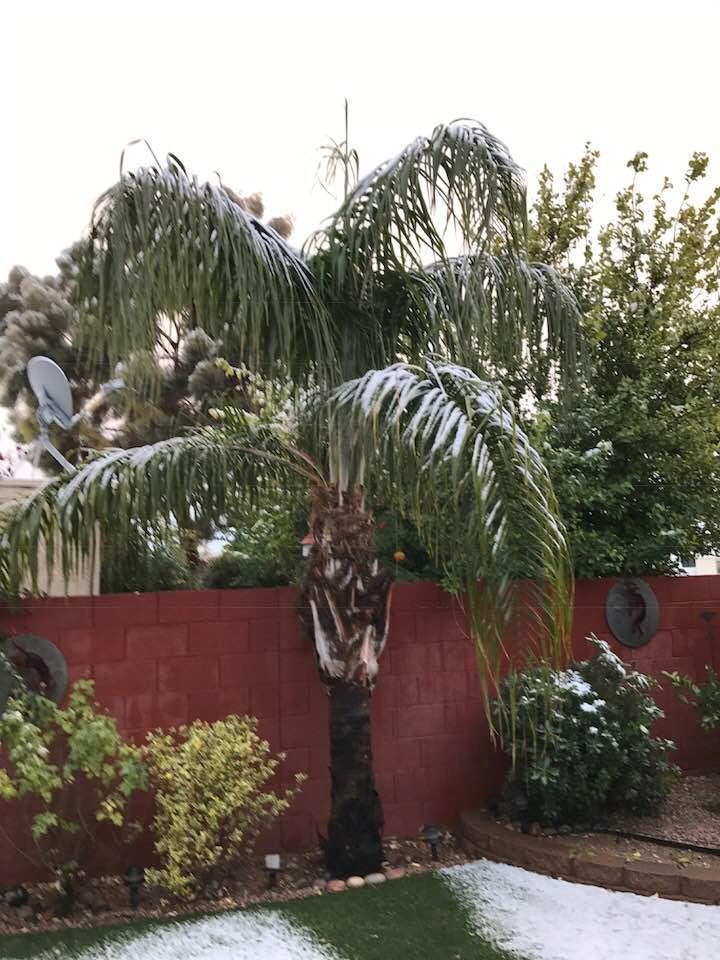 Happy New Year, From Tucson