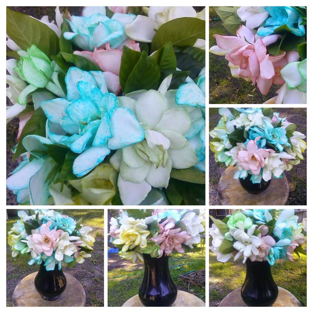 Here are some pictures of my latest experiment with dye and flowers.