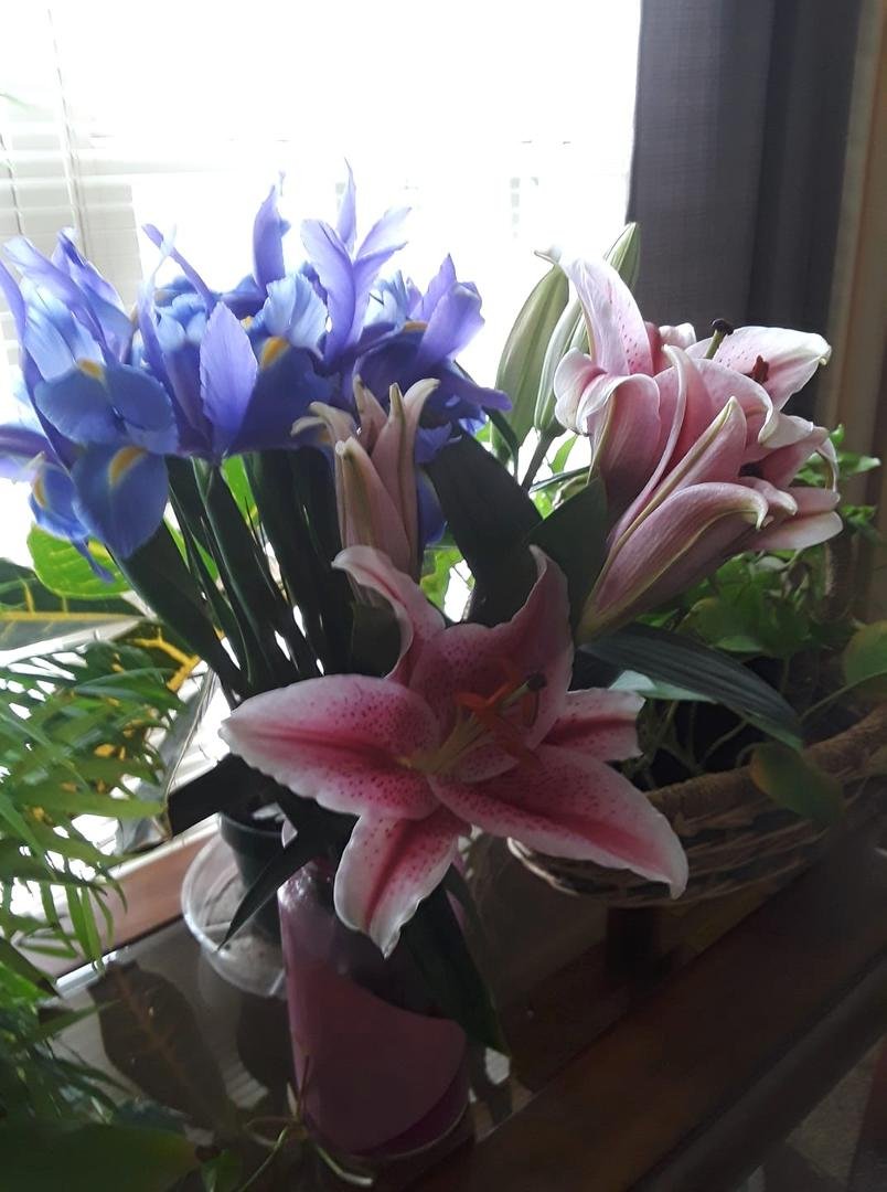 Debra Hillson's album, Timeline Photos