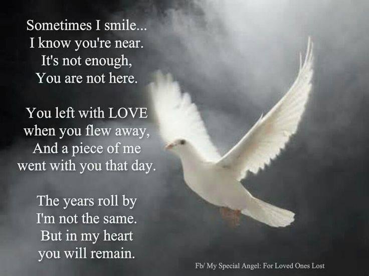 Vincent Weldner's album, Timeline Photos