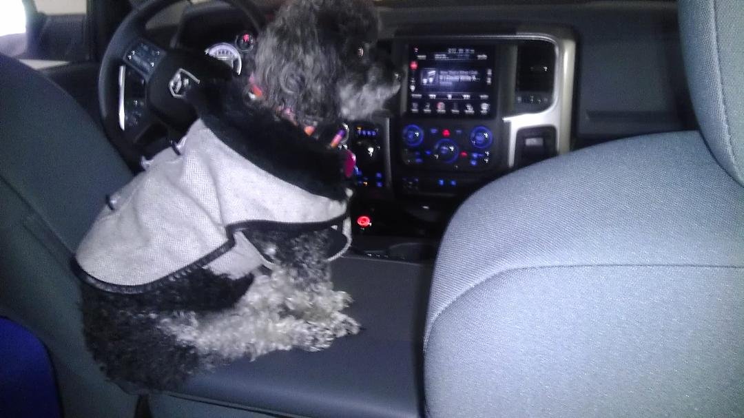 My boo bear
