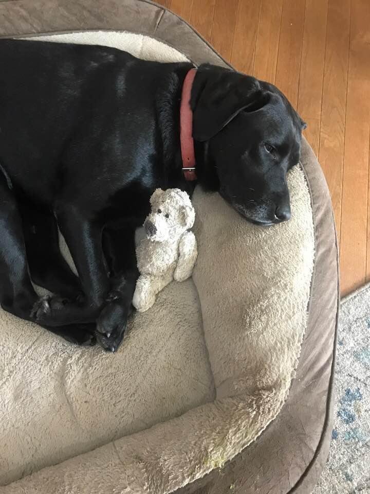 Cooper!!!