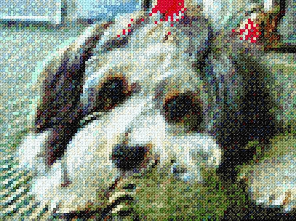 Donna Donna Telesco's album, Cross-Stitch World Photos