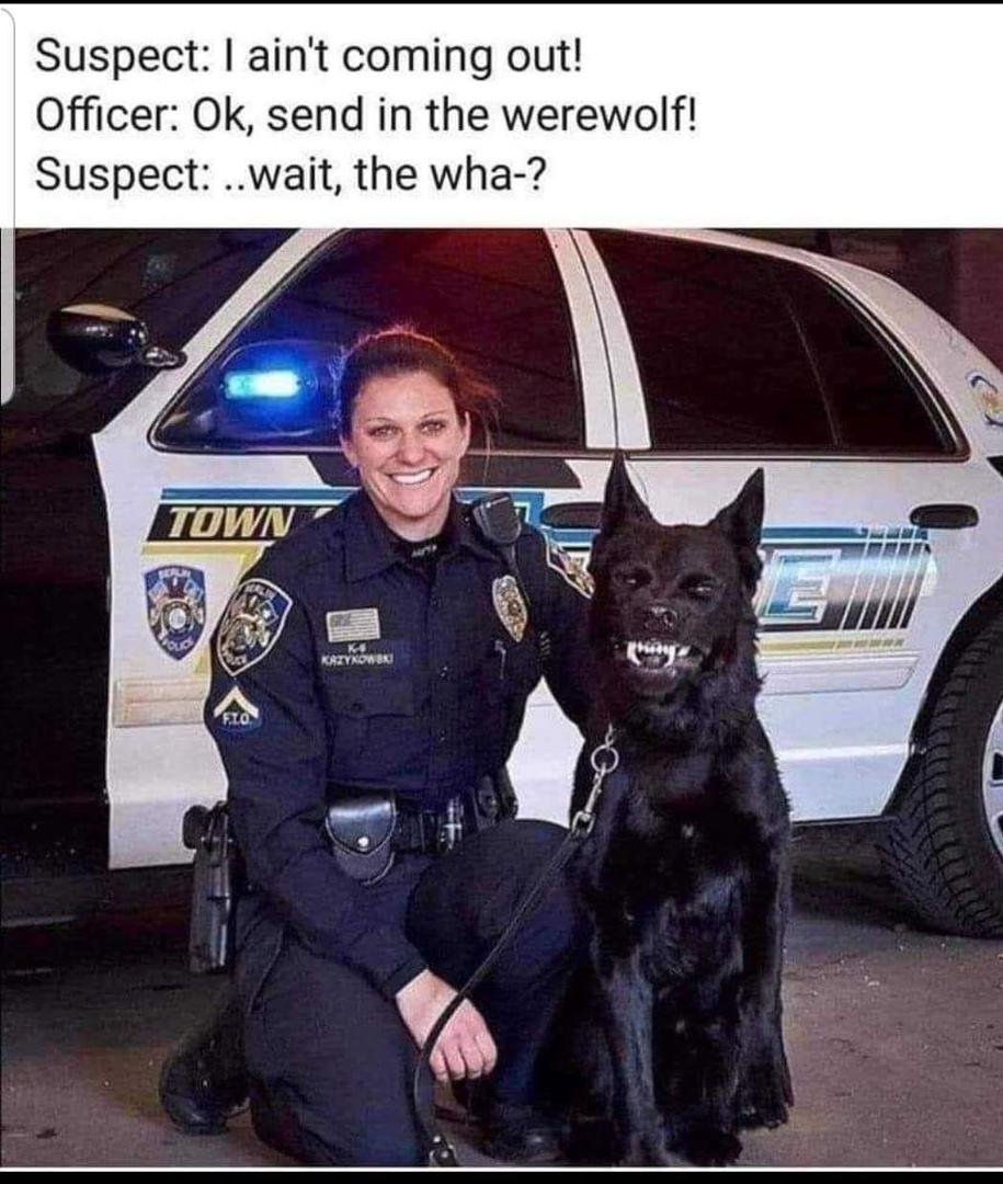 Good doggie.