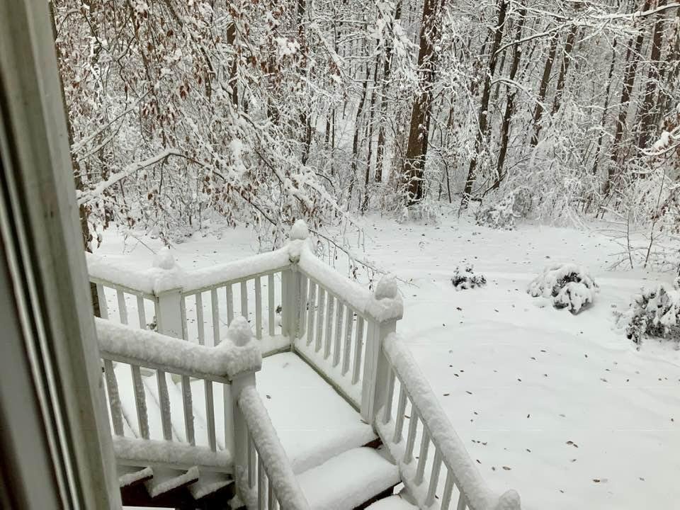 Carolyn Gelb's album, Timeline Photos