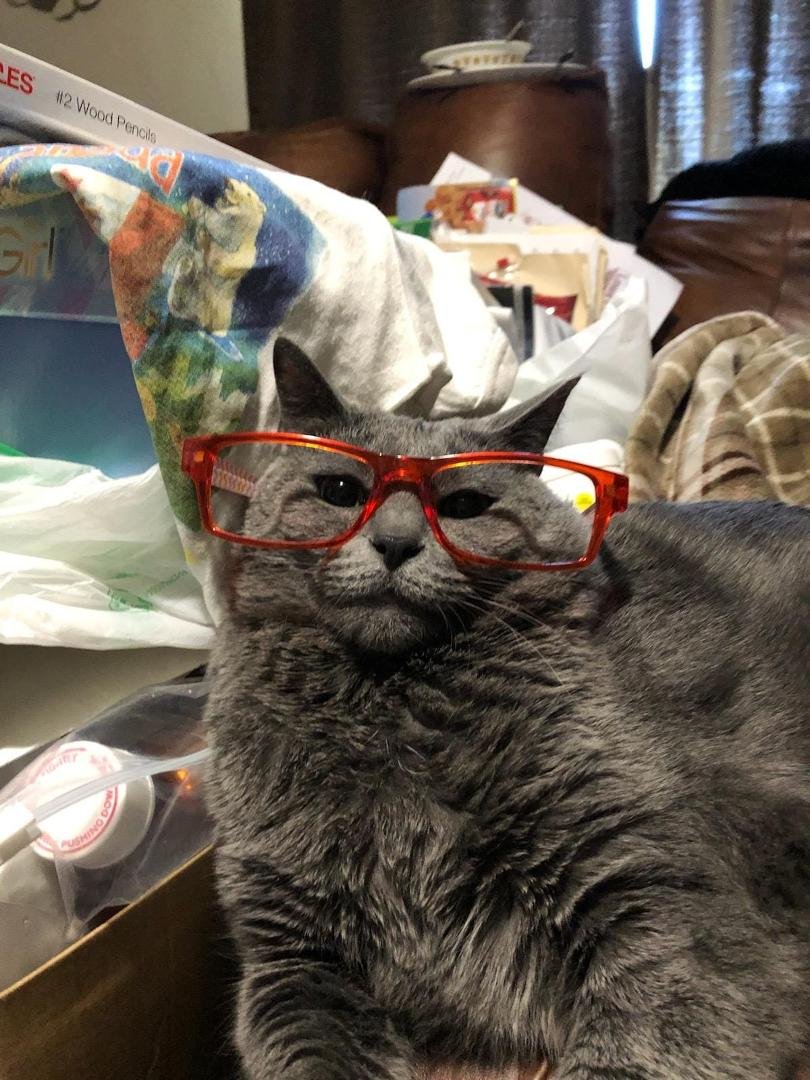 Please give this pic a caption