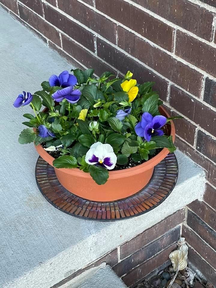 Our neighbors Reg & Bindy went on a trip and all Marvin and I did was go to the mailbox, get our mail and theirs.  This is what they gave us plus a gift certificate.