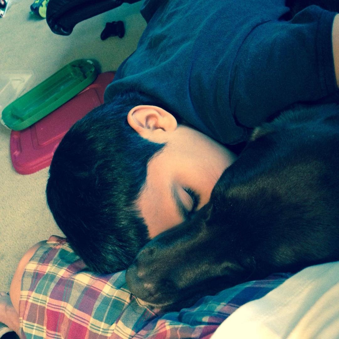 Snuggling on the sofa in the rain.....there is nowhere better to be.
