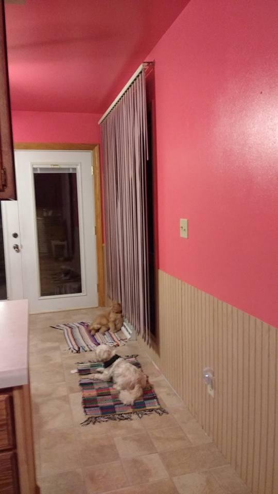 Kitchen and dining room remodeling project 1/2 done.