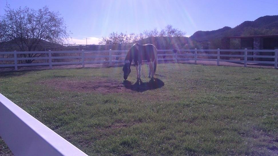 Pretty cool pic from this afternoon. Looks like blessings from heaven.