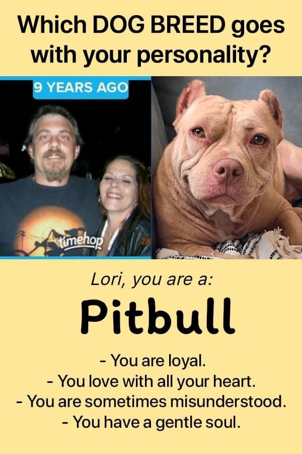 Lori Moore's album, Timeline Photos