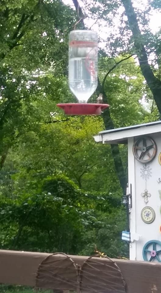 Angie Proctor's album, Timeline Photos