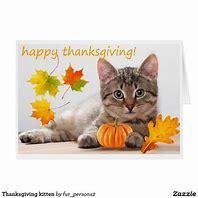 Happy Thanksgiving to Everyone.