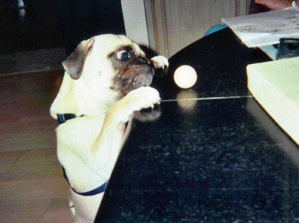 Jack and the ball