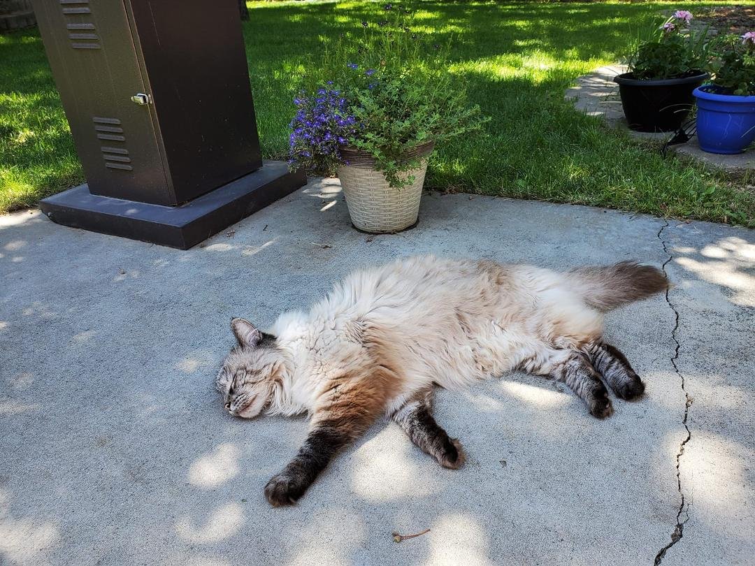 Someone is enjoying the outdoors on our lunch break. I guess I should be nice to my co-worker, he works hard during all those meetings...
