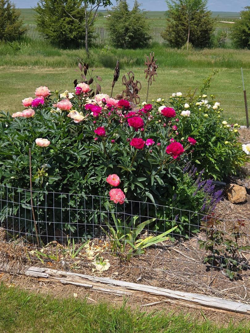 Colleen Gunderman's album, Timeline photos