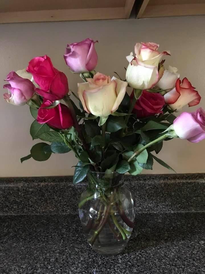 Chewy. Com. Sent these after the loss of our cat.  What an amazing company-give them a try