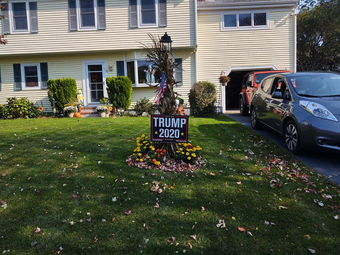 Go Trump!