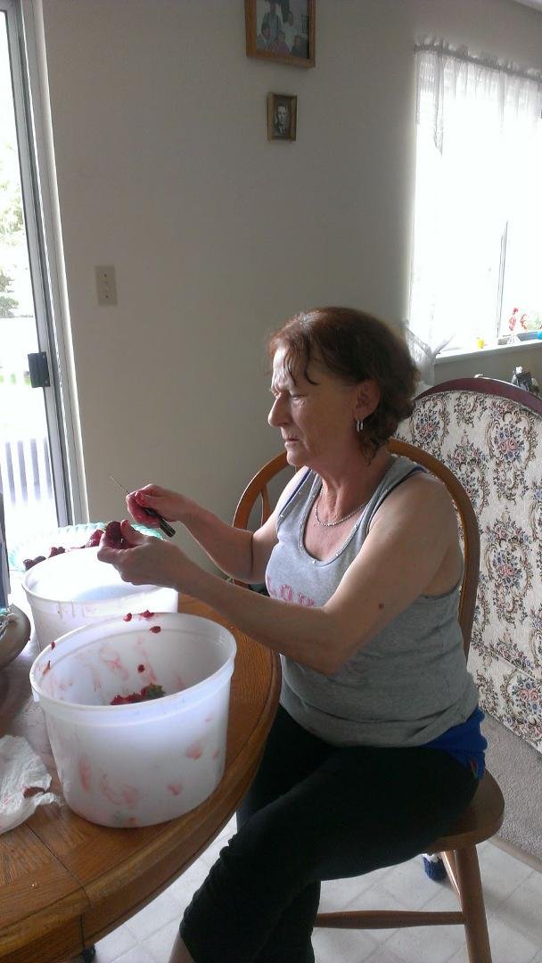 Susan Scramstad's album, Mobile Uploads