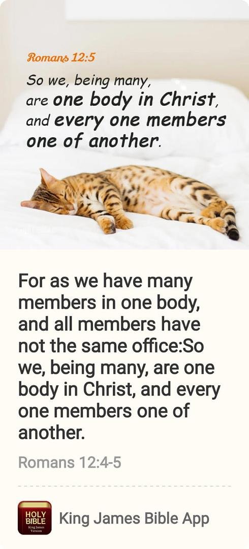 The Church of God, and each local church in particular, are made up of a diverse group of believers whom God has gifted with different natural talents and spiritual gifts. And he has called different members of this one gre